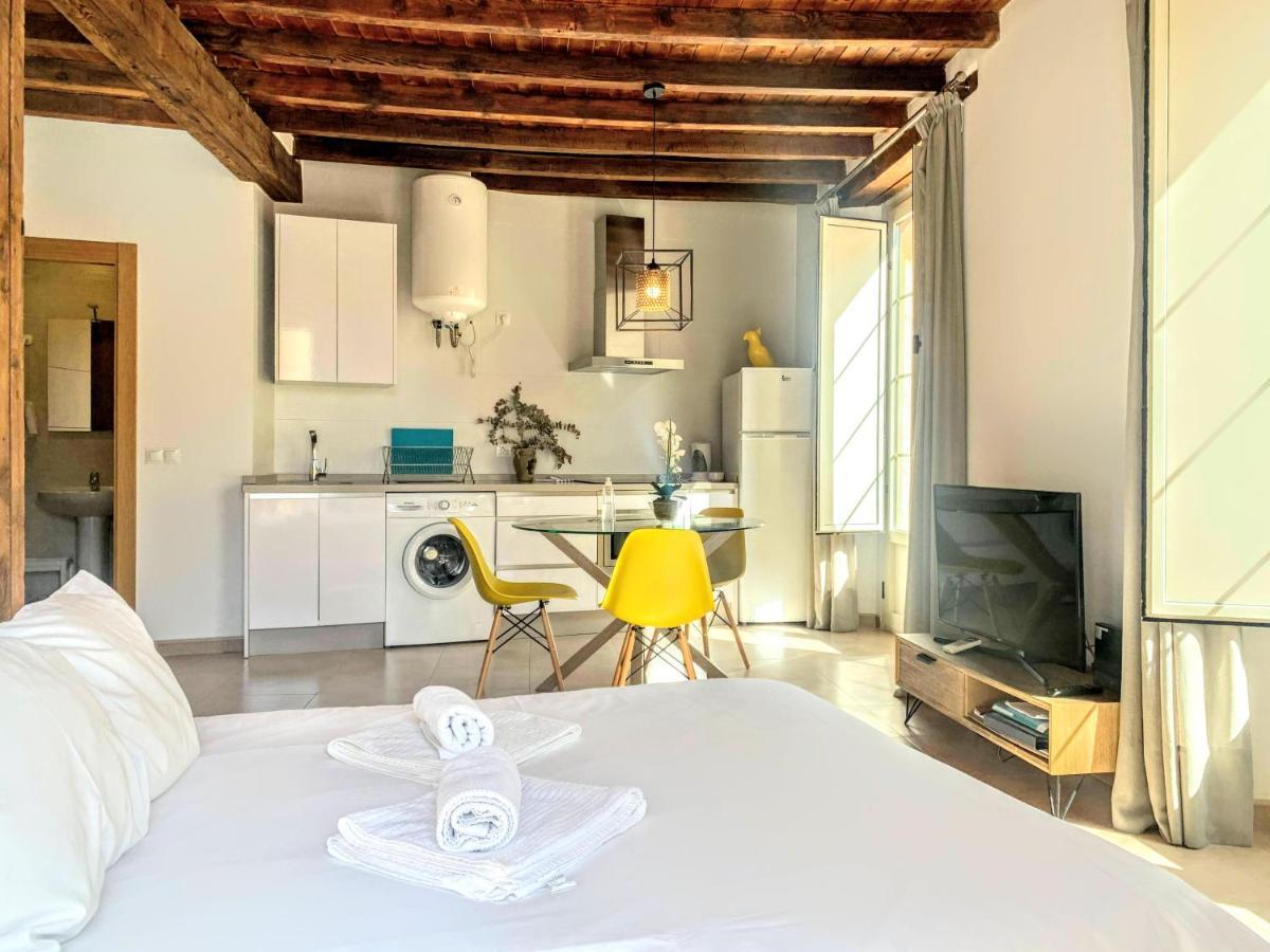 Homely Malaga Loft Gaona Centro エクステリア 写真